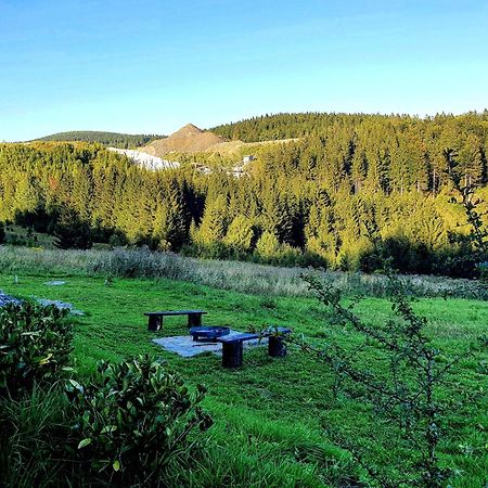 Domek Maly Czar Czarnow  Εξωτερικό φωτογραφία